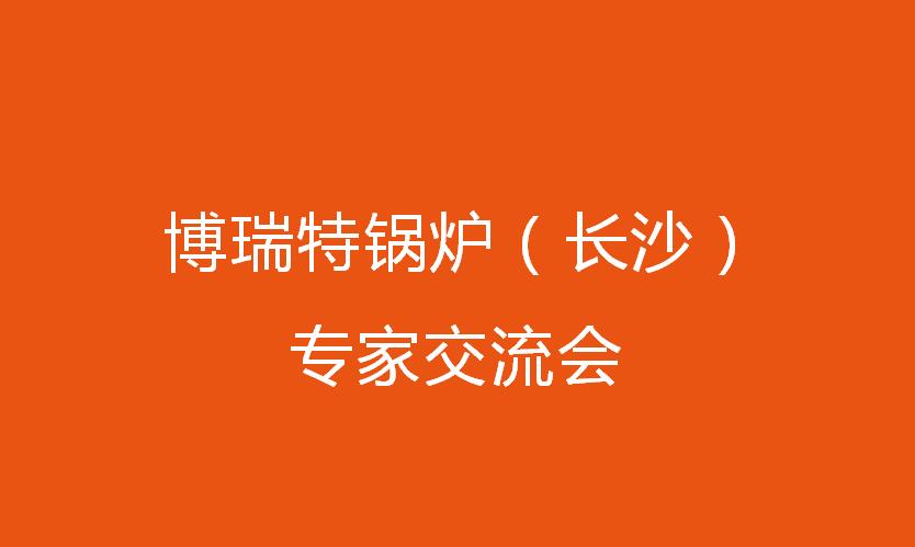 博瑞特鍋爐（長沙）專家交流會圓滿落幕！